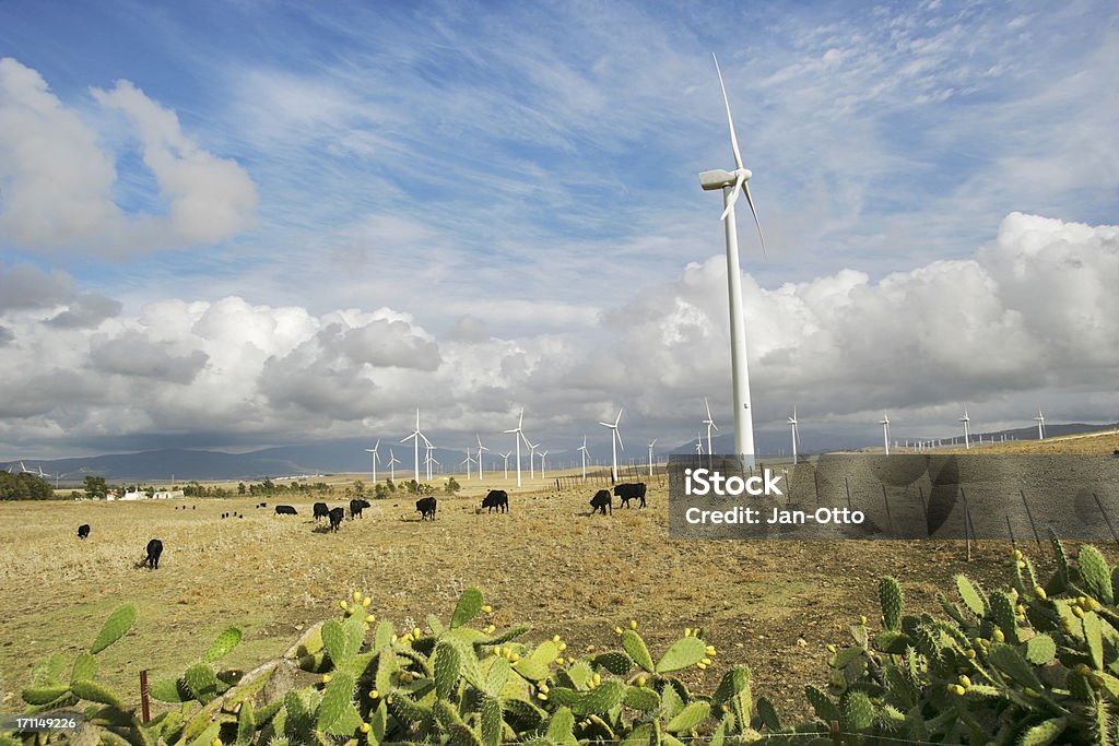 Windturbinen und bulls - Lizenzfrei Kaktus Stock-Foto