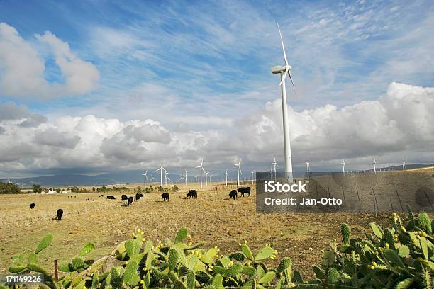 Windturbinen Und Bulls Stockfoto und mehr Bilder von Kaktus - Kaktus, Hausrind, Andalusien