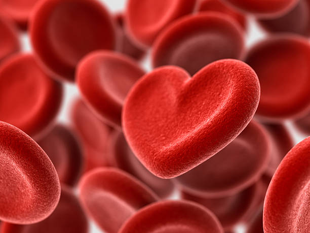 Blood Donation Concept One of the blood cells looks like a heart. 3D render. red blood cell stock pictures, royalty-free photos & images