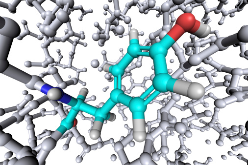 Molecular model of tyrosine, one of 20 required amino acid to form proteins.