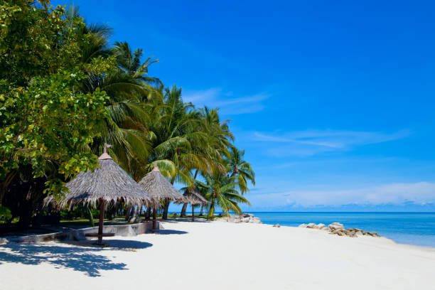 istock White sand beach on Mabul island, Sipadan, Borneo Malaysia 171149546