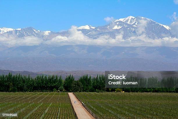 Mendoza In Argentina - Fotografie stock e altre immagini di Azienda vinicola - Azienda vinicola, Argentina - America del Sud, Cordigliera delle Ande