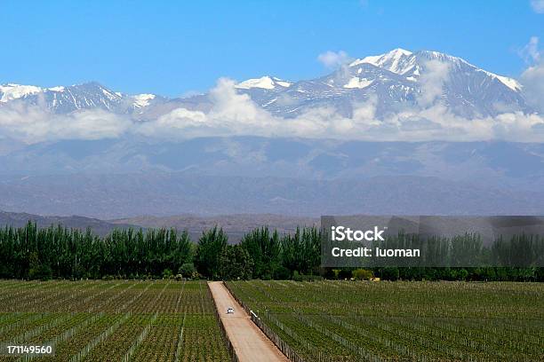 Mendoza Na Argentina - Fotografias de stock e mais imagens de Estabelecimento Vinícola - Estabelecimento Vinícola, Argentina, Os Andes