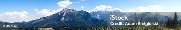 Большой Xxxl Горы Панорама — стоковые фотографии и другие картинки Величественный - Величественный, Вечнозелёное дерево, Гора
