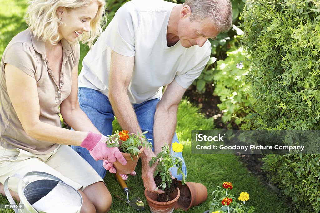 Старший человек, помогая пожилой женщины в посадка цветов - Стоковые фото 40-49 лет роялти-фри