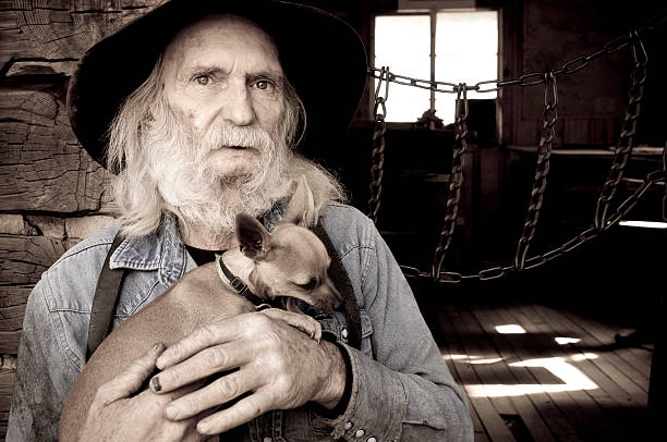 vieux cow-boy avec son chien - chihuahua stroking pets human hand photos et images de collection