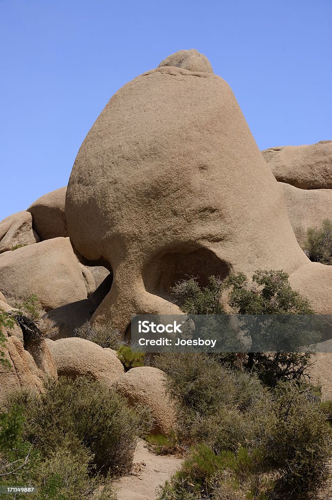 Skull Rock Joshua Tree National Park A favorite tourist stop in Joshua Tree National Park in the Mohave Desert of southeastern California, erosion has formed this boulder so that it resembles a skull of some sort of hominid. California Stock Photo