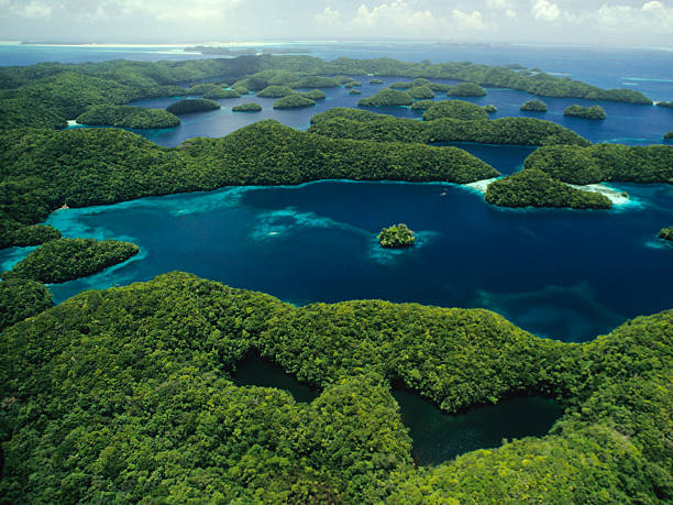 istock Rock Islands & Jellyfish Lake, Palau 171149973