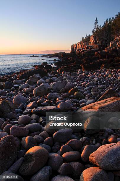Am Frühen Morgen Auf Einem Stein Beach Stockfoto und mehr Bilder von Atlantik - Atlantik, Baum, Blau