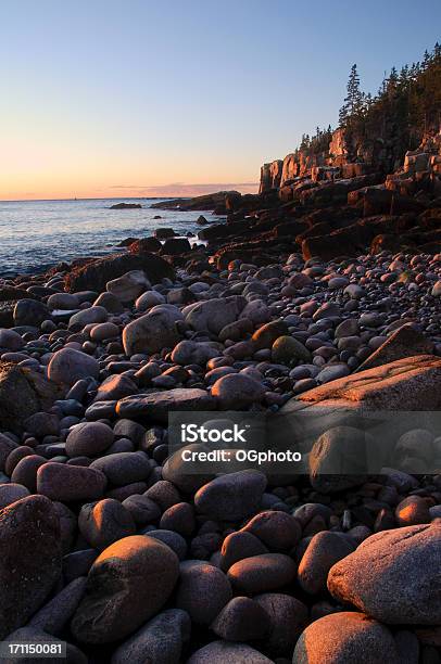 Mattina Presto Sulla Spiaggia Di Pietra - Fotografie stock e altre immagini di Acqua - Acqua, Albero, Ambientazione esterna