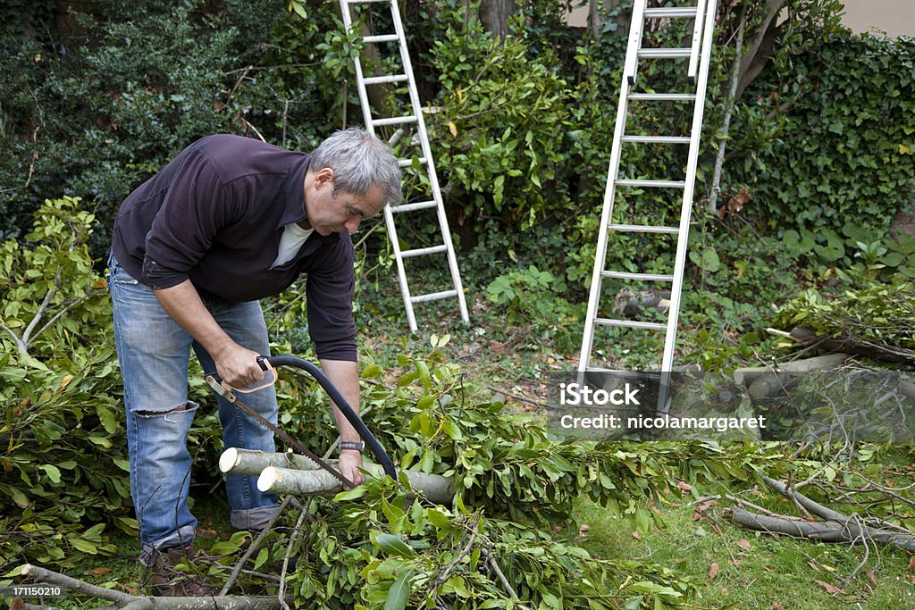 Человек обрезка дерево - Стоковые фото Ветвь - часть растения роялти-фри