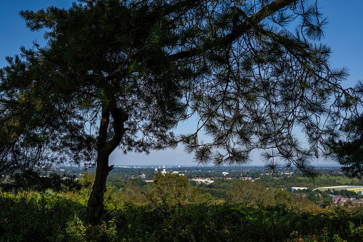 A view over heathland moor country park forest lickey hills birmingham west midlands worcestershire england uk. It i a warm sunny day in Summer.