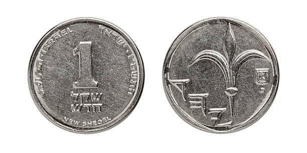 istock Israeli ONE new Shekel coin isolated on white, both sides 171150892