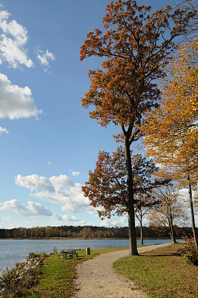 istock Stony Creek Metro Park, Michigan 171150909