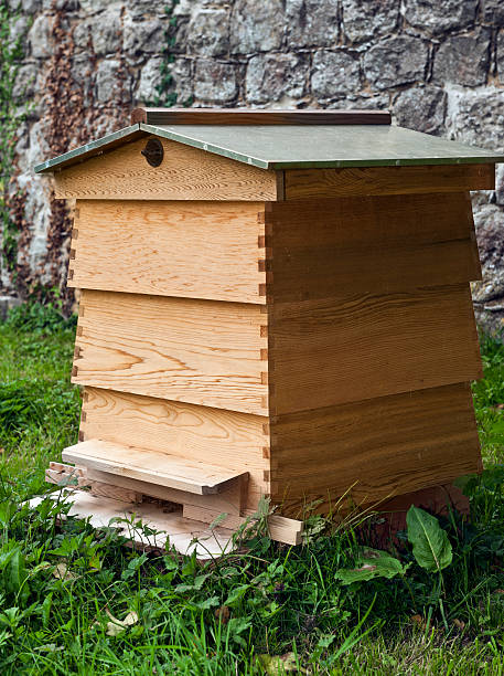 A Cedar wood Bee hive in an English country garden