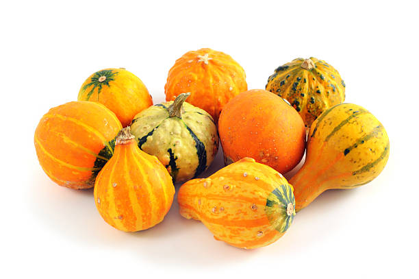 istock collection of different pumpkins 171151099