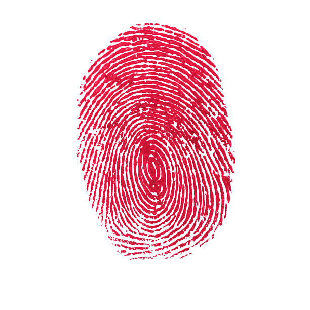 impressão digital vermelho isolado em fundo branco - thumbprint imagens e fotografias de stock