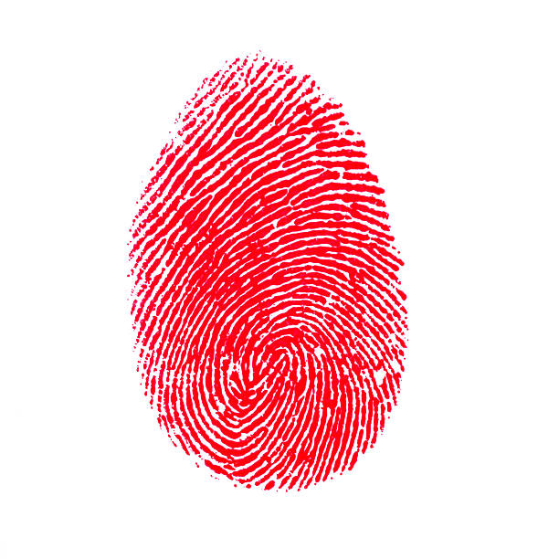 impressão digital vermelho isolado no fundo branco - fingerprint thumbprint identity red - fotografias e filmes do acervo