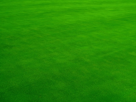Real Putting Green