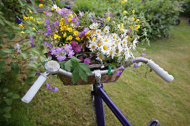istock Spring flowers in bike basket 171151266
