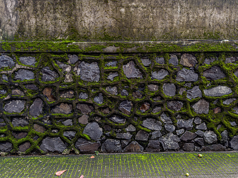 Moss on rock pattern wall