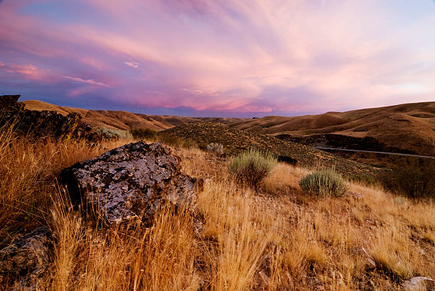 pôr do sol de verão - idaho boise sunset scenics - fotografias e filmes do acervo