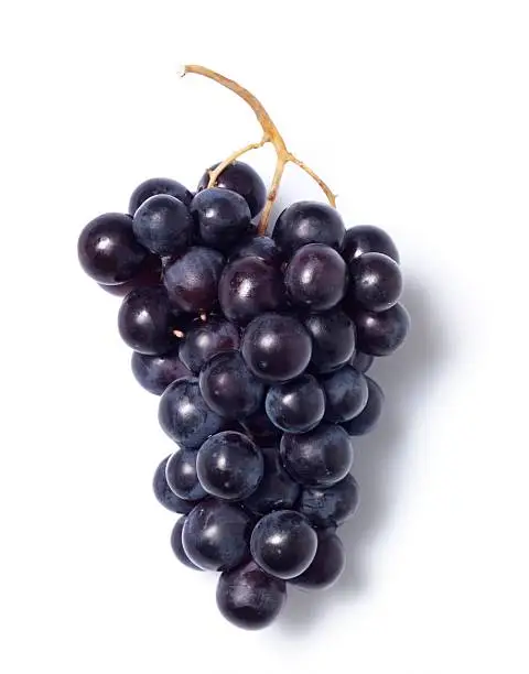 Photo of Black grapes