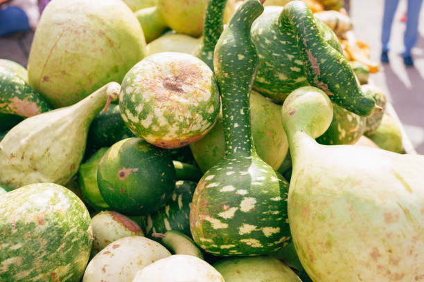 istock Calabash on market 1711516392