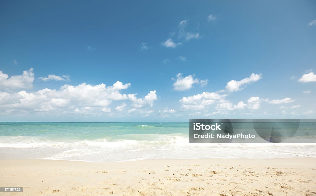 Beach Secluded tropical beach - Koh Samui, Thailand. Beach Stock Photo