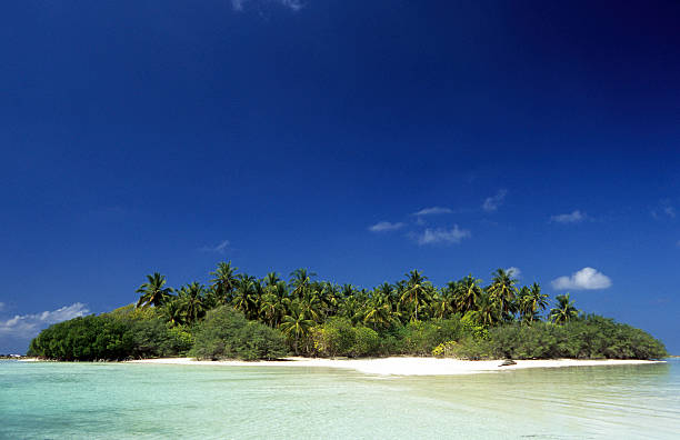 istock Maldives, southern atolls, Island. 171151774