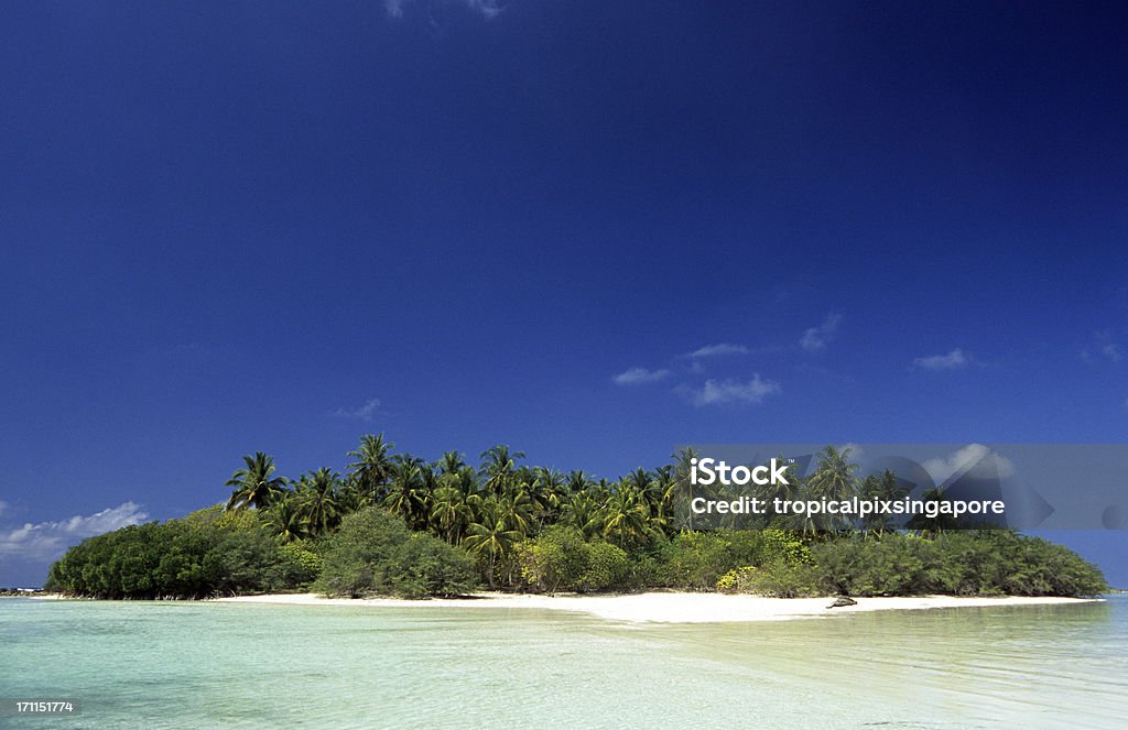 Maldivas, Sul atolls, Ilha. - Royalty-free Areia Foto de stock