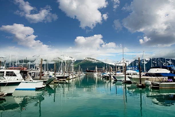View down dock to marina with fishing boats, Nature scenics, Haida Gwaii, British Columbia