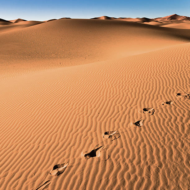 사하라 사막 누구도 - landscape desert wave pattern erg chebbi dunes 뉴스 사진 이미지