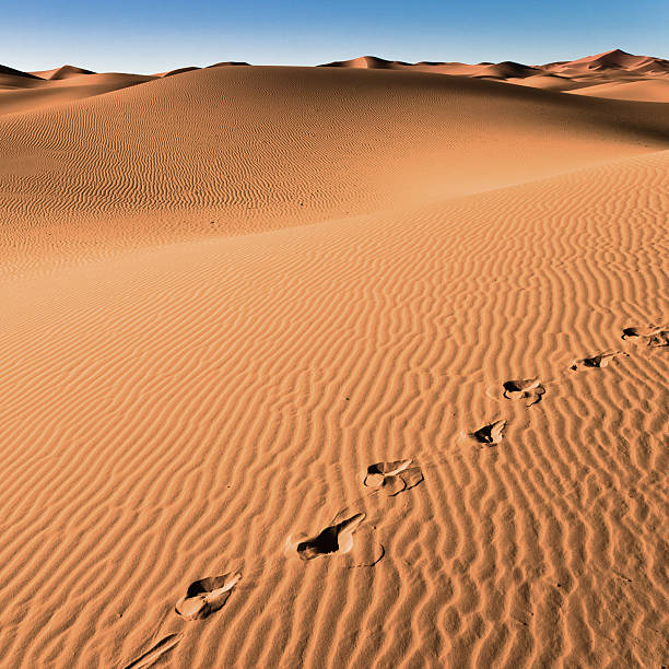 sahara desert nikt - landscape desert wave pattern erg chebbi dunes zdjęcia i obrazy z banku zdjęć