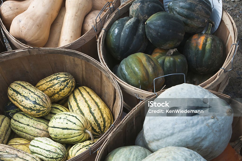 Winterkürbis Auswahl - Lizenzfrei Bauernmarkt Stock-Foto