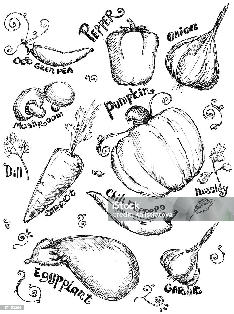Dibujados a mano las verduras - Ilustración de stock de Cebolla libre de derechos