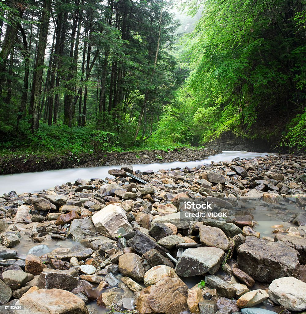 Mountain stream. Peaceful mountain stream flows through forest. Blurred Motion Stock Photo