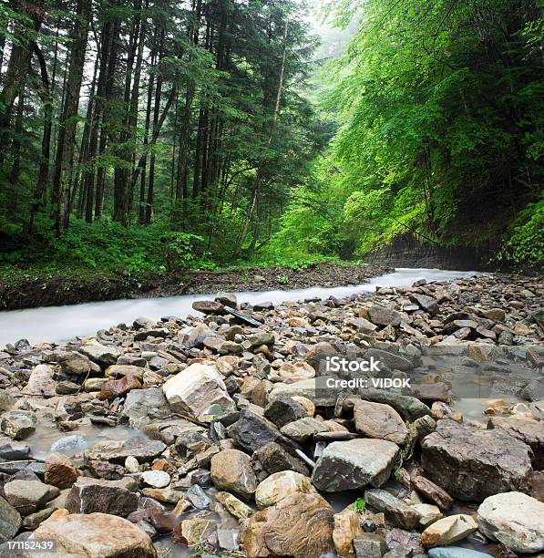 Mountain Stream Stock Photo - Download Image Now - Blurred Motion, Bush, Color Image