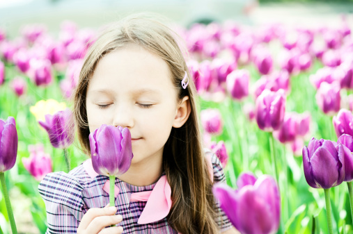Little girl enjoying tulips in a summer day