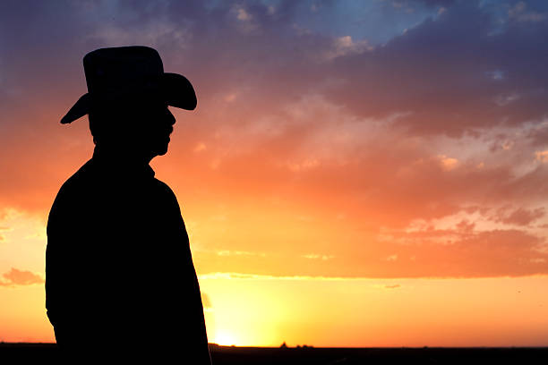 istock Silhouette of Cowboy Watching Sunset 171152645