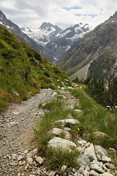 istock hiking trail in the Alps 171152655