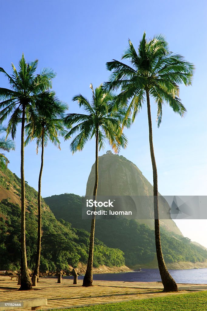 Vermelha-Strand in Rio de Janeiro - Lizenzfrei Rio de Janeiro Stock-Foto