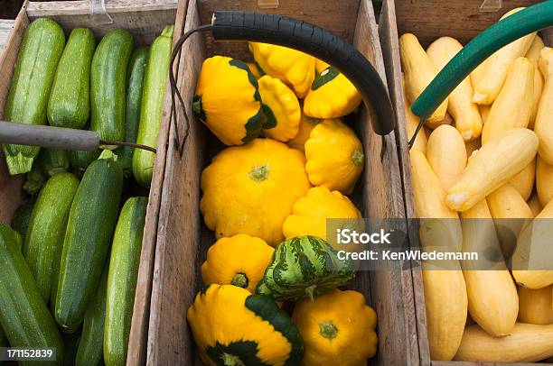 Lokalne Odmiany Dyni - zdjęcia stockowe i więcej obrazów Bez ludzi - Bez ludzi, Cukinia, Fotografika