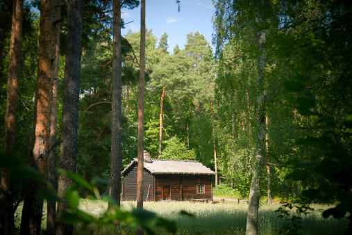 Norwegian Wooden House in the Forest, Location: Oslo, Norway. This ancient traditional building is dated 18th century.