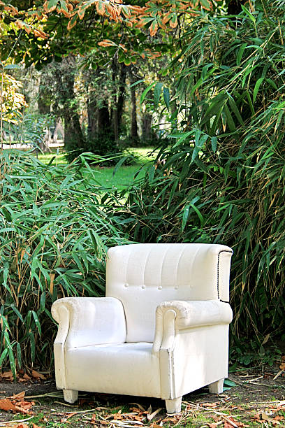 istock Armchair in the park 171153002
