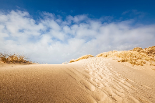 Sand dune on the coast of Sylt 