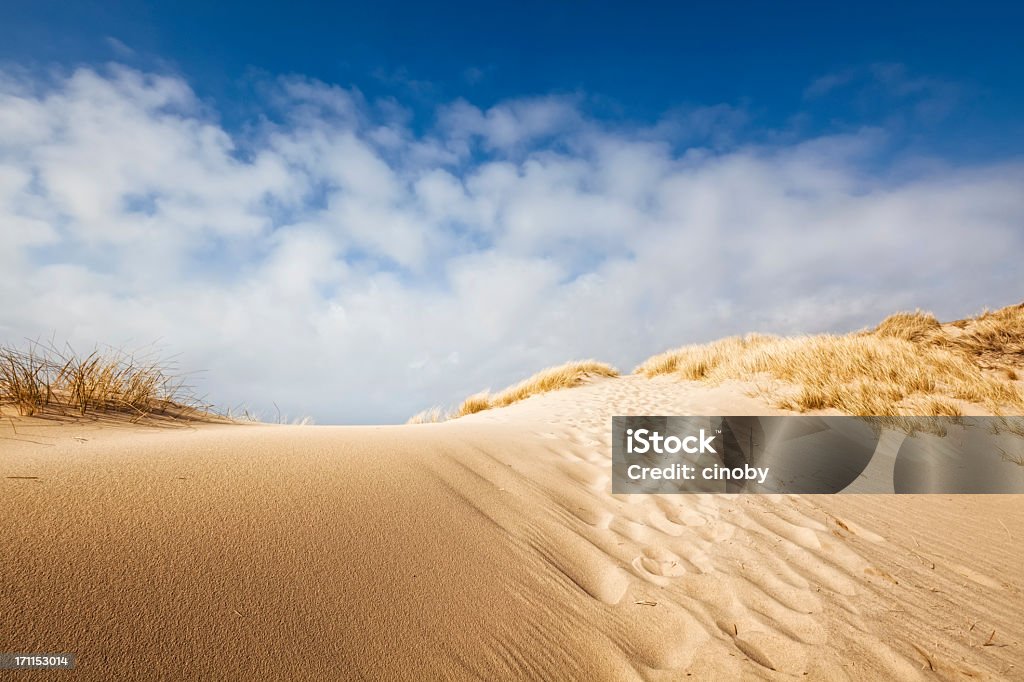 Пляж песочный Dune - Стоковые фото Пляж роялти-фри