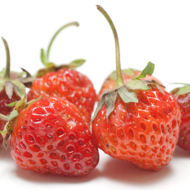 istock Strawberries Picked Fresh this Morning 171153102
