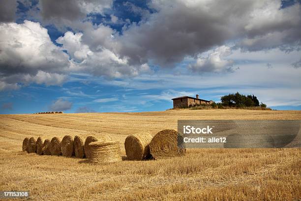 Photo libre de droit de Hay Bale Sur Récoltés Field banque d'images et plus d'images libres de droit de Agriculture - Agriculture, Arbre, Bleu