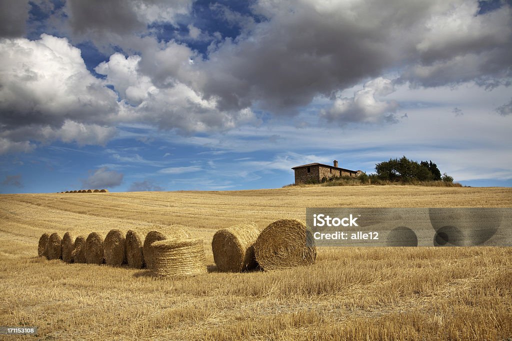 Hay Bale o odłowionych - Zbiór zdjęć royalty-free (Balot)